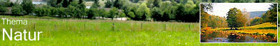 Thema: Natur