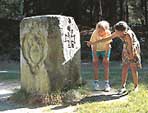 Rund um Bollendorf: Die Felsentour