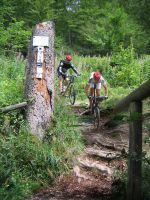 Gef�hrte Mountainbike-Touren in der Vulkaneifel