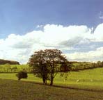 Panoramatour: Pr�m - Sch�necken