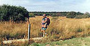 Wandern