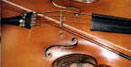 Musik-/Chor-/Tanzverein
