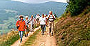 Wanderverein