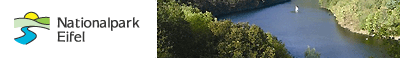 Thementouren im Nationalpark Eifel
