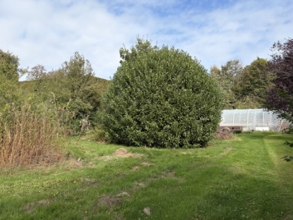 1.288 m� Baugrundst�ck mit Eifel-Flair: Ihr neues Zuhause am Nationalparktor direkt bei Monschau