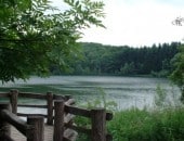 Am Holzmaar bei Gillenfeld