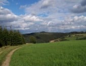 Auguststimmung in der EIFEL... von Adenau kommend Richtung Mayen fahrend - N&auml;he Rodelbahn / Jammelshofen