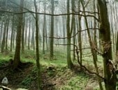 B&auml;rlauch-Wanderung im Eichtertal
