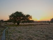 Das Hohe Venn im Sp&auml;tsommer mit einem wundersch&ouml;nen Sonnenuntergang