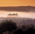 Daun im Nebel