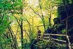 Der Lieserpfad - von Daun nach Wittlich