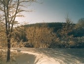 Eifelwinter