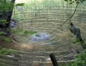 Eisvogelwanderweg am Fischteich