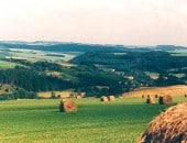 Erntezeit