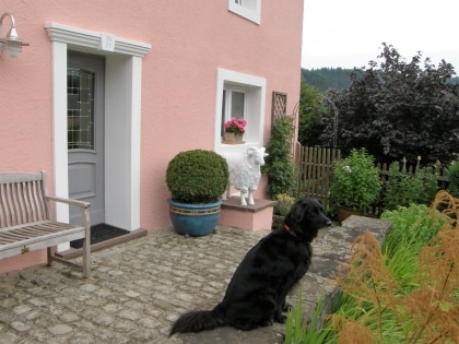 Ferienh�user Heidschnuckenhof Familie Schultheis