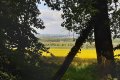 Ferienhaus Om Ringel
