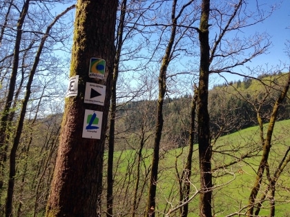 Ferienwohnung Vulkaneifel