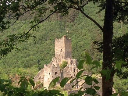 Ferienwohnung Vulkaneifel