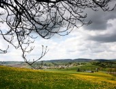 Fr&uuml;hlingsstimmung bei Sch&ouml;necken