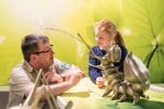 F&uuml;hrung mit dem Ranger durch die Erlebnisausstellung "Wildnis(t)r&auml;ume"