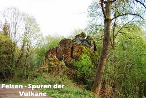 Haus Bianca in Bettenfeld