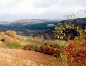 Herbst im Naturschutzgebiet Alfbachtal