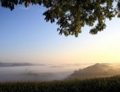 Herbststimmung bei Schwirzheim