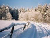 Im Winter bei Wolfgarten<br />
