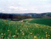 Landschaft im Pr&uuml;mtal