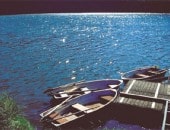 Sommerlicher See mit Ruderbooten