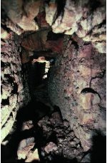 Tiergartentunnel