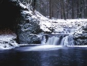 Winter am Getzbach im Hohen Venn