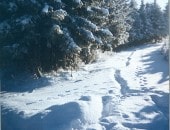 Winter im Pr&uuml;mtal