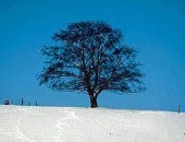 Winterlandschaft