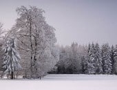 Winterlandschaft am J&auml;gerhaus