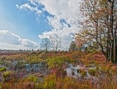 Wundersch&ouml;ner Herbsttag im Hochmoor.