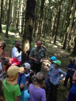 ZUSATZTERMIN Walderlebnistag "Waldwerkstatt" - Waldwanderung im Lammersdorfer Wald