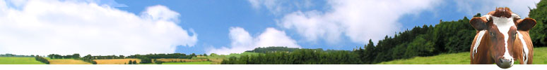 EIFEL.DE